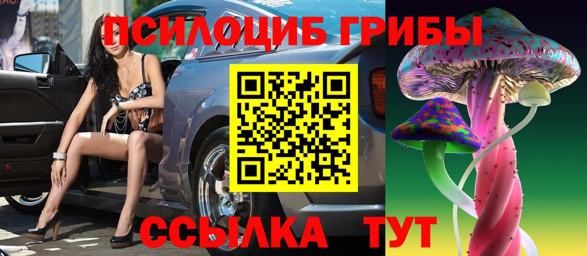 Галлюциногенные грибы Psilocybe Орск