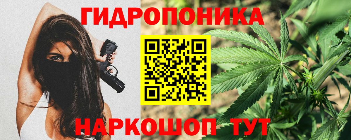 Бошки марихуана планчик  Вход с VPN  Марихуана гибрид  Марихуана план  Орск 